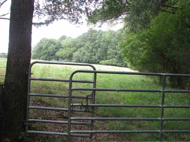 a view of outdoor space with iron fence