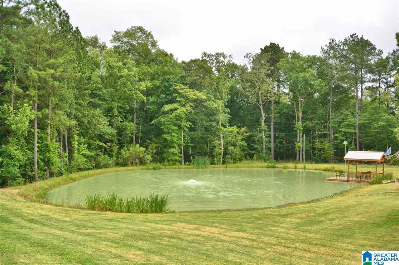 40 Baron Drive Chelsea, AL 35043 - Photo 44 of 45