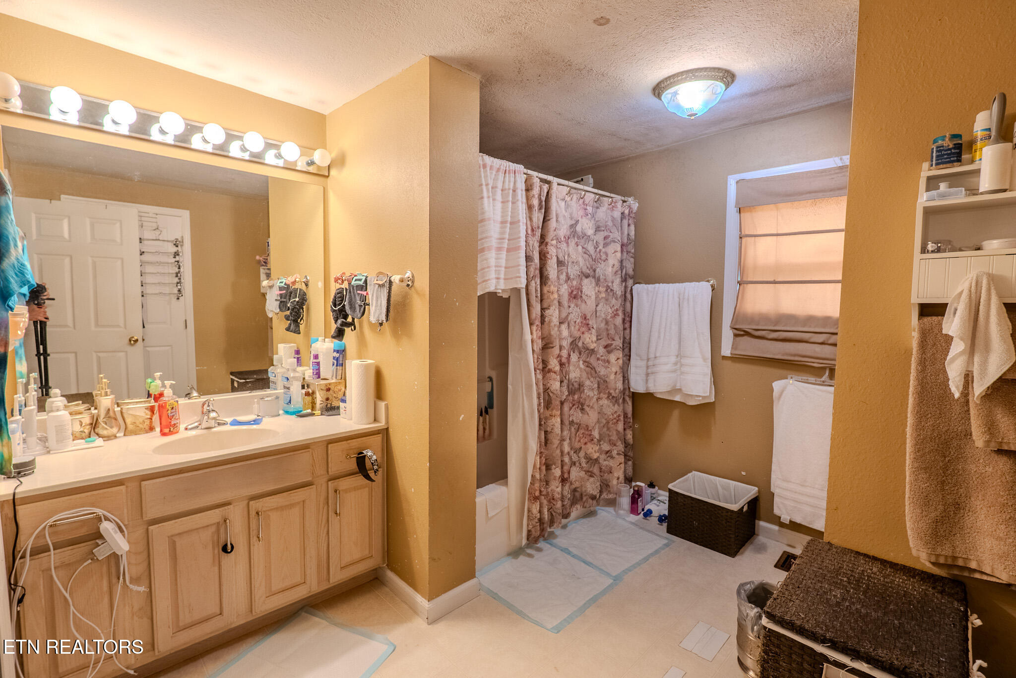 9211 Brock Road Knoxville, TN 37938 - Photo 20 of 42 DSC03347-HDR