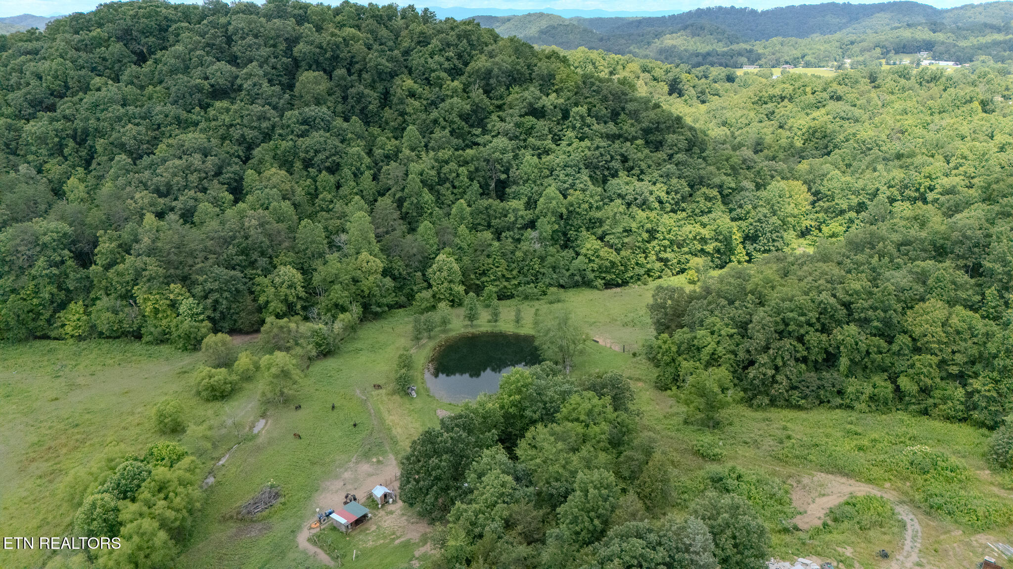 9211 Brock Road Knoxville, TN 37938 - Photo 29 of 42 DJI_20250620123252_0014_D