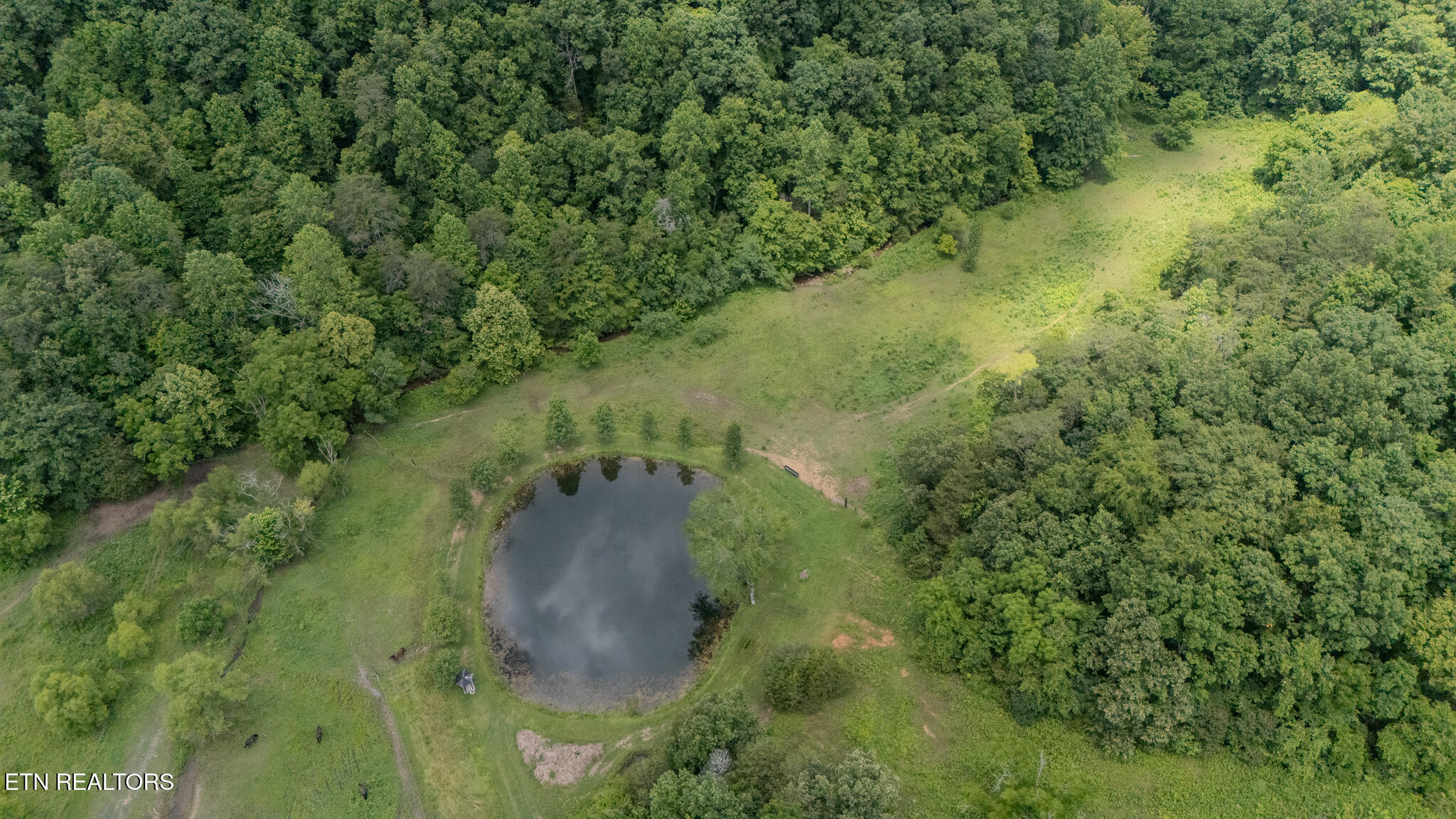 9211 Brock Road Knoxville, TN 37938 - Photo 30 of 42 DJI_20250620123321_0015_D