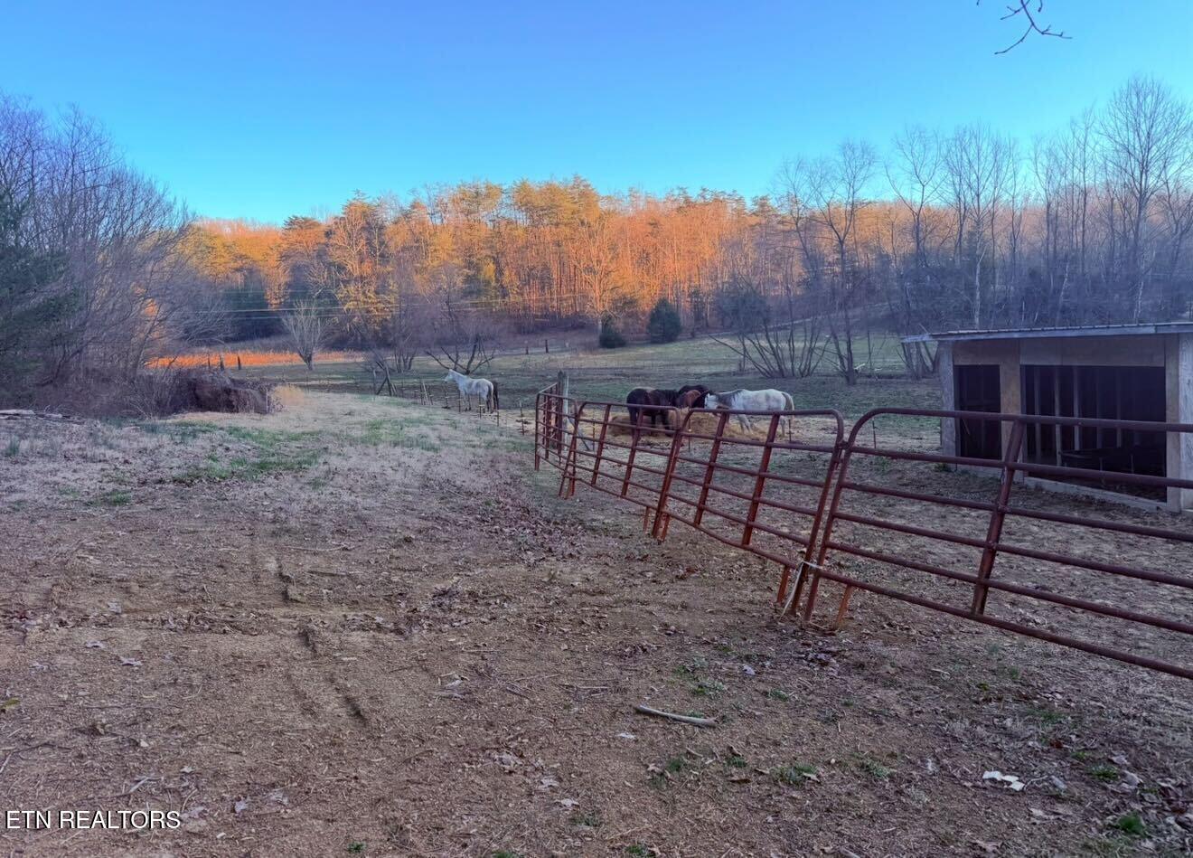 9211 Brock Road Knoxville, TN 37938 - Photo 33 of 42 IMG_1881