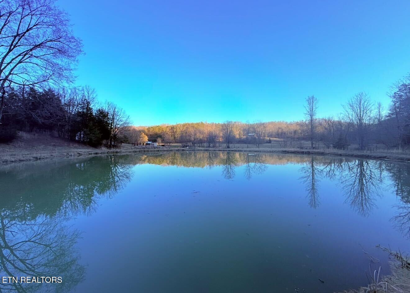 9211 Brock Road Knoxville, TN 37938 - Photo 36 of 42 IMG_1877