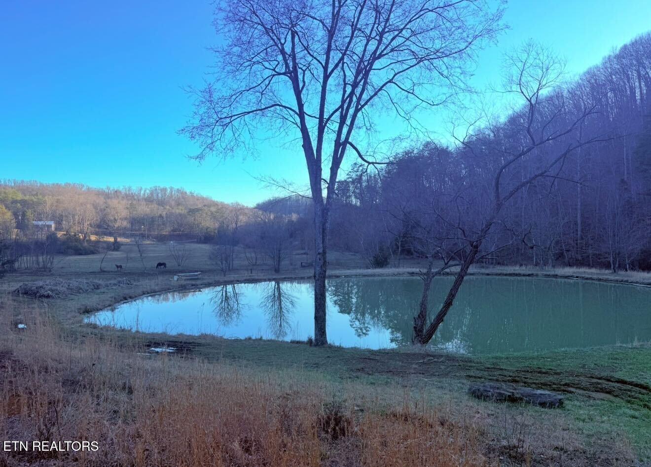 9211 Brock Road Knoxville, TN 37938 - Photo 37 of 42 IMG_1876