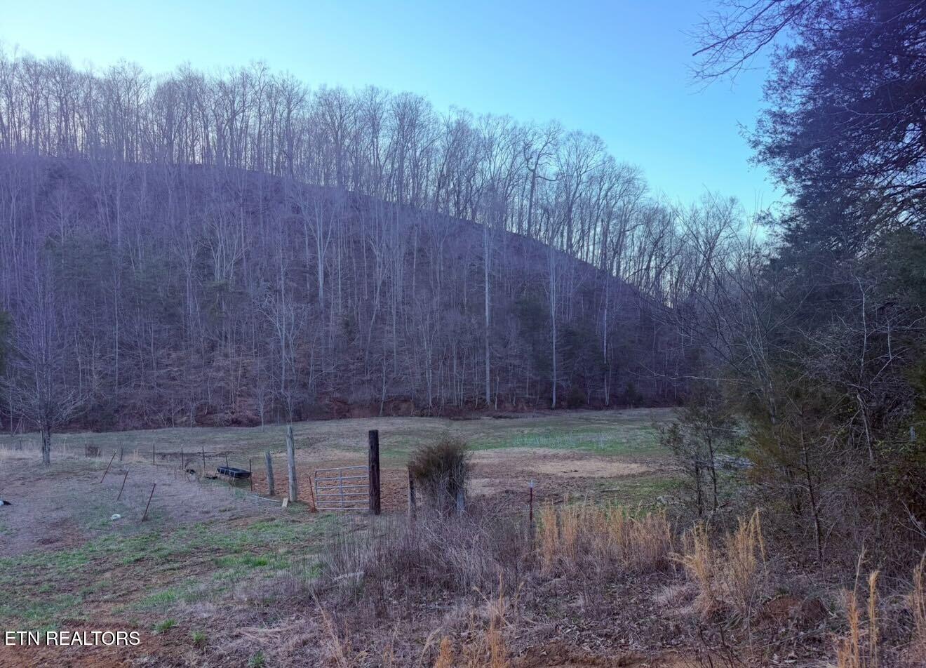 9211 Brock Road Knoxville, TN 37938 - Photo 38 of 42 IMG_1875