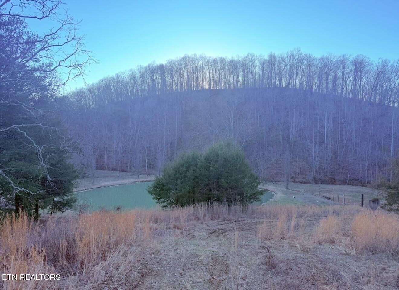 9211 Brock Road Knoxville, TN 37938 - Photo 39 of 42 IMG_1873