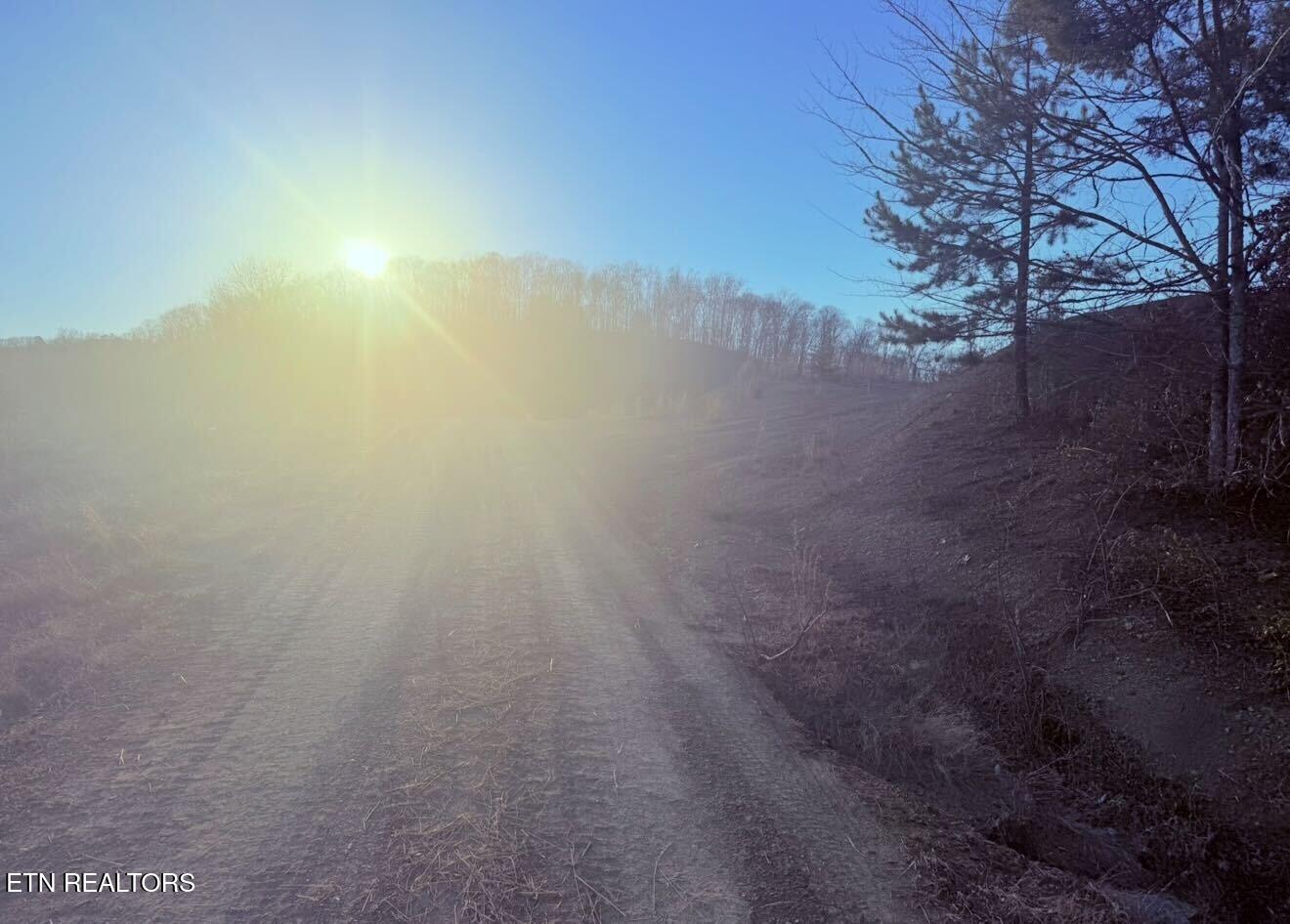 9211 Brock Road Knoxville, TN 37938 - Photo 41 of 42 IMG_1869