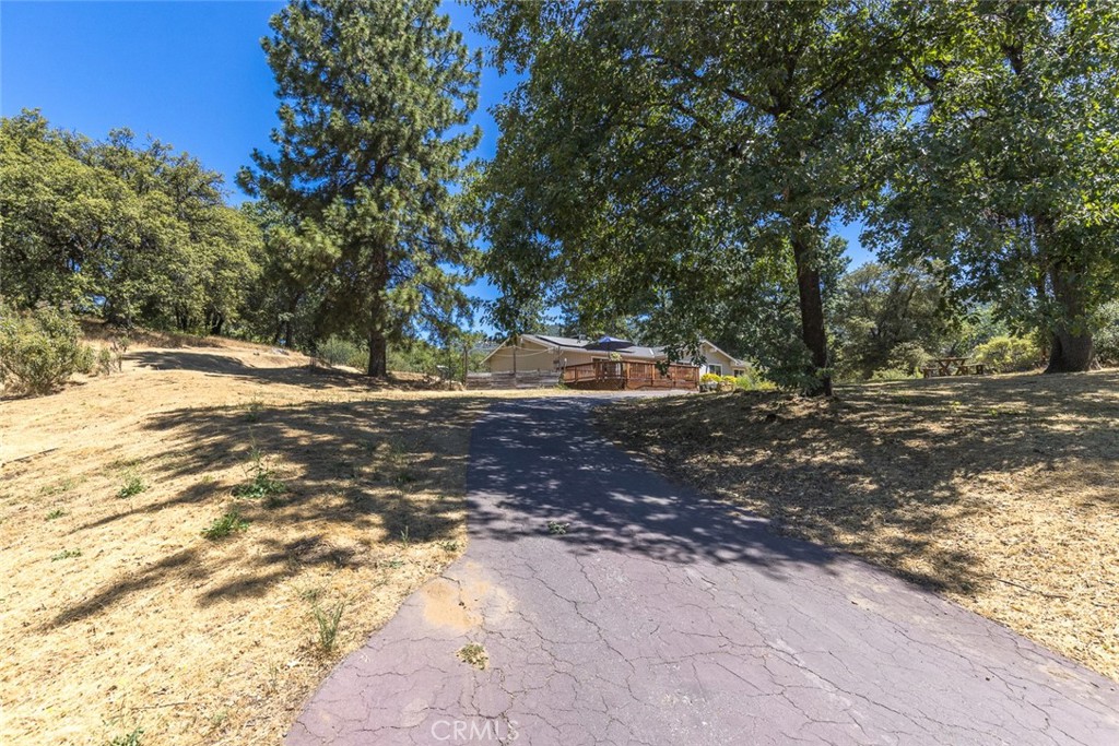 45315 Forest Ridge Drive Ahwahnee, CA 93601 - Photo 2 of 75
