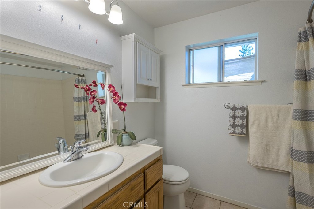 45315 Forest Ridge Drive Ahwahnee, CA 93601 - Photo 22 of 75 a bathroom with a sink vanity mirror and toilet