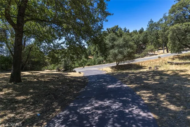 a view of dirt yard with a tree