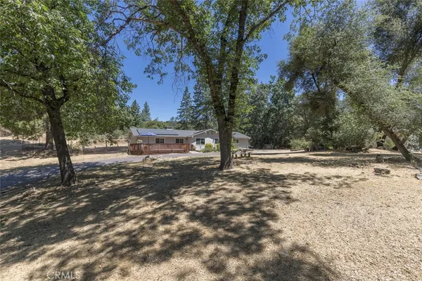 a view of a yard