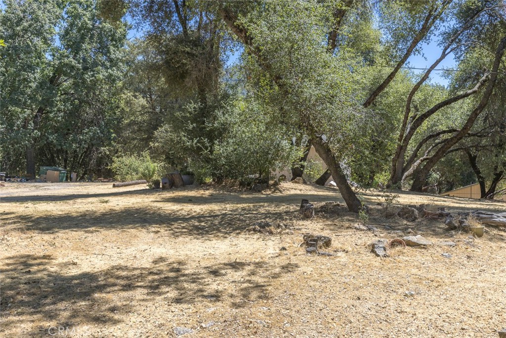 45315 Forest Ridge Drive Ahwahnee, CA 93601 - Photo 46 of 75 a view of a yard with a tree