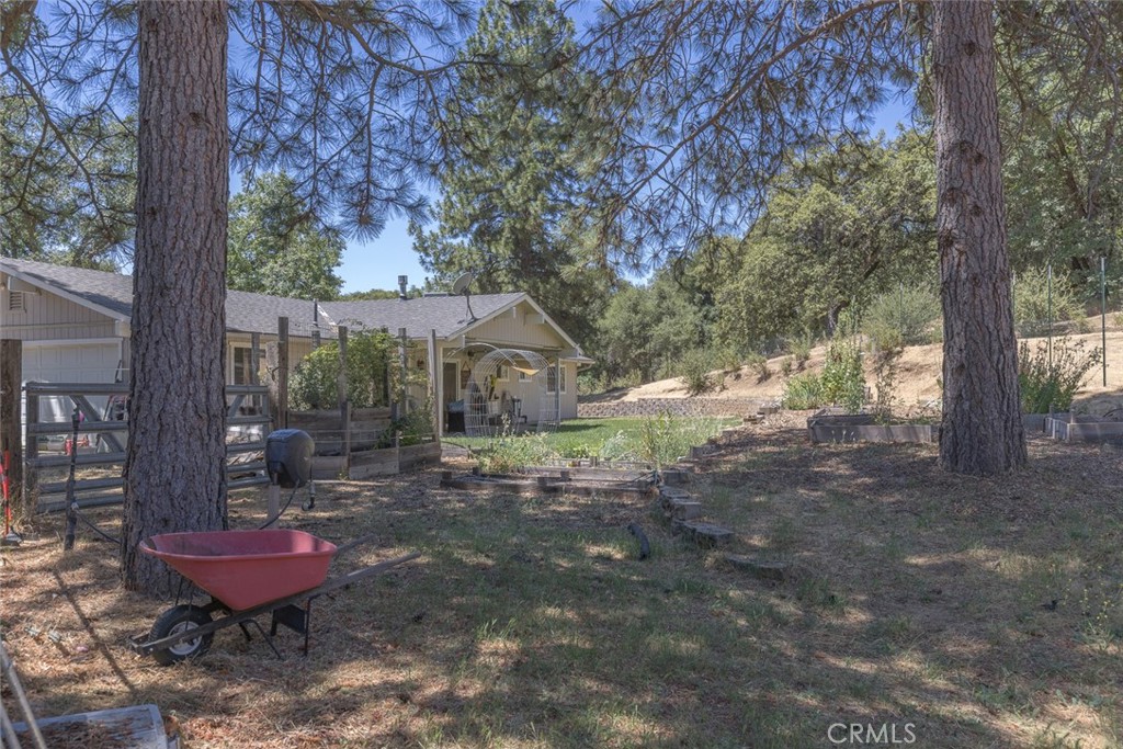 45315 Forest Ridge Drive Ahwahnee, CA 93601 - Photo 59 of 75 a view of a backyard with garden