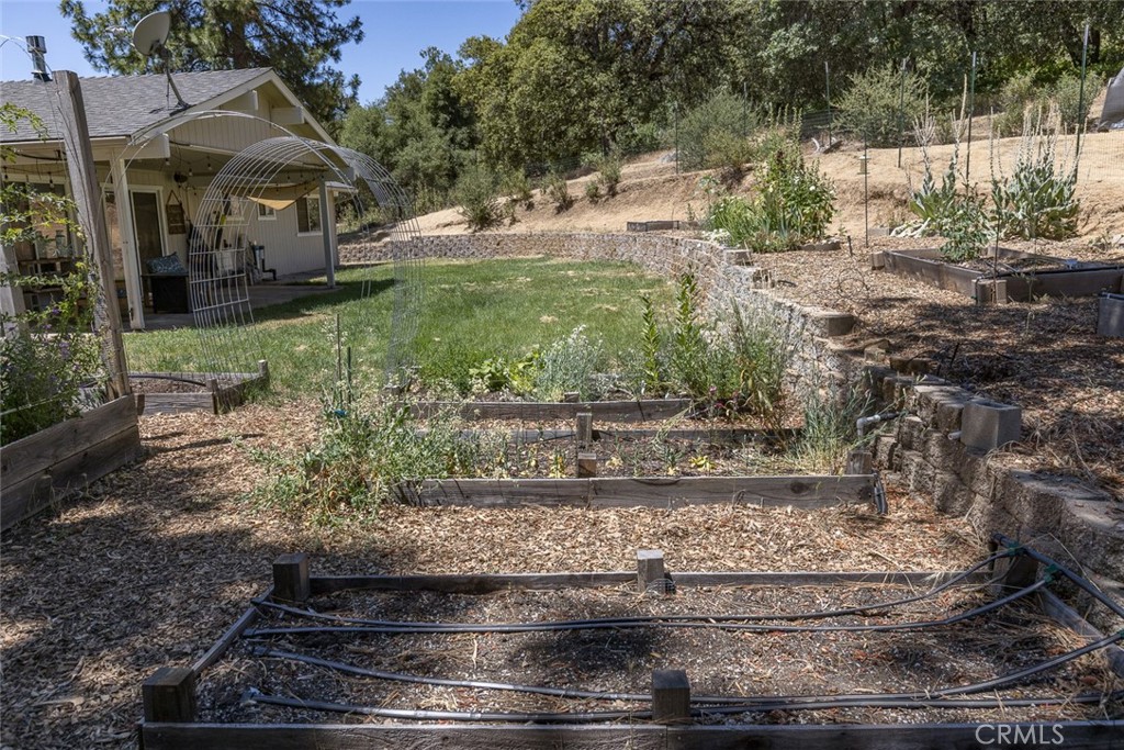 45315 Forest Ridge Drive Ahwahnee, CA 93601 - Photo 68 of 75 a view of a yard in front of a house