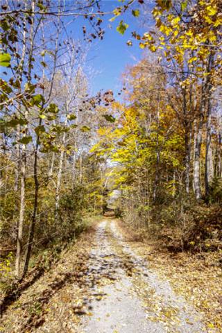 296 Ernest Cates Road Bethpage, TN 37022 - Photo 2 of 20 Private Gravel Driveway leads to Home on a Hilltop full of Beauty!