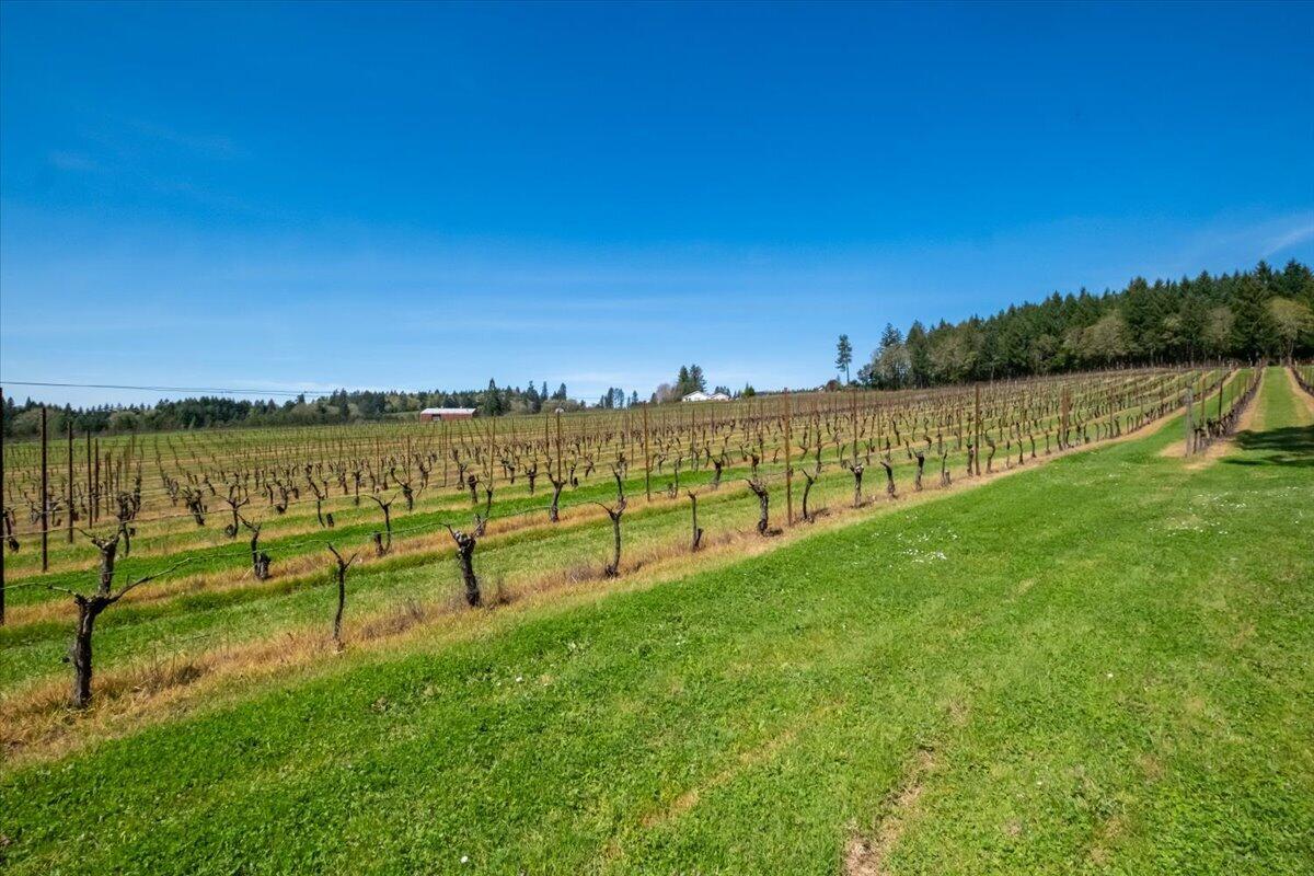 25357 High Pass Road Junction City, OR 97448 - Photo 41 of 43 58-MIT-19