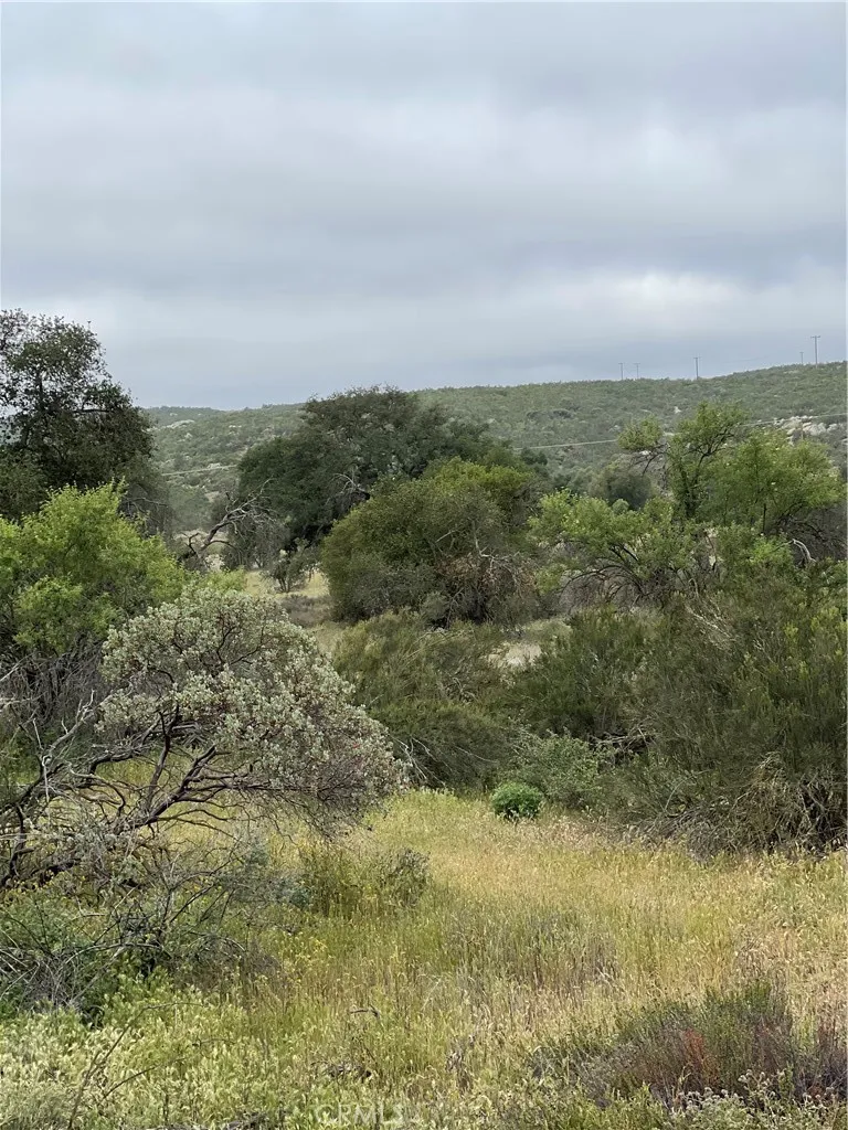 41 Melton Road Hemet, CA 92544 - Photo 4 of 8 a view of a field with trees in background