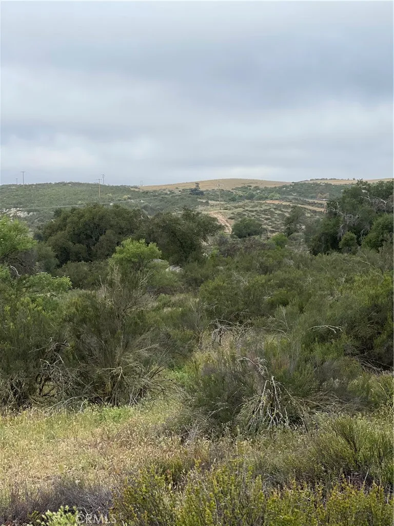 41 Melton Road Hemet, CA 92544 - Photo 5 of 8 a view of a field of grass and trees