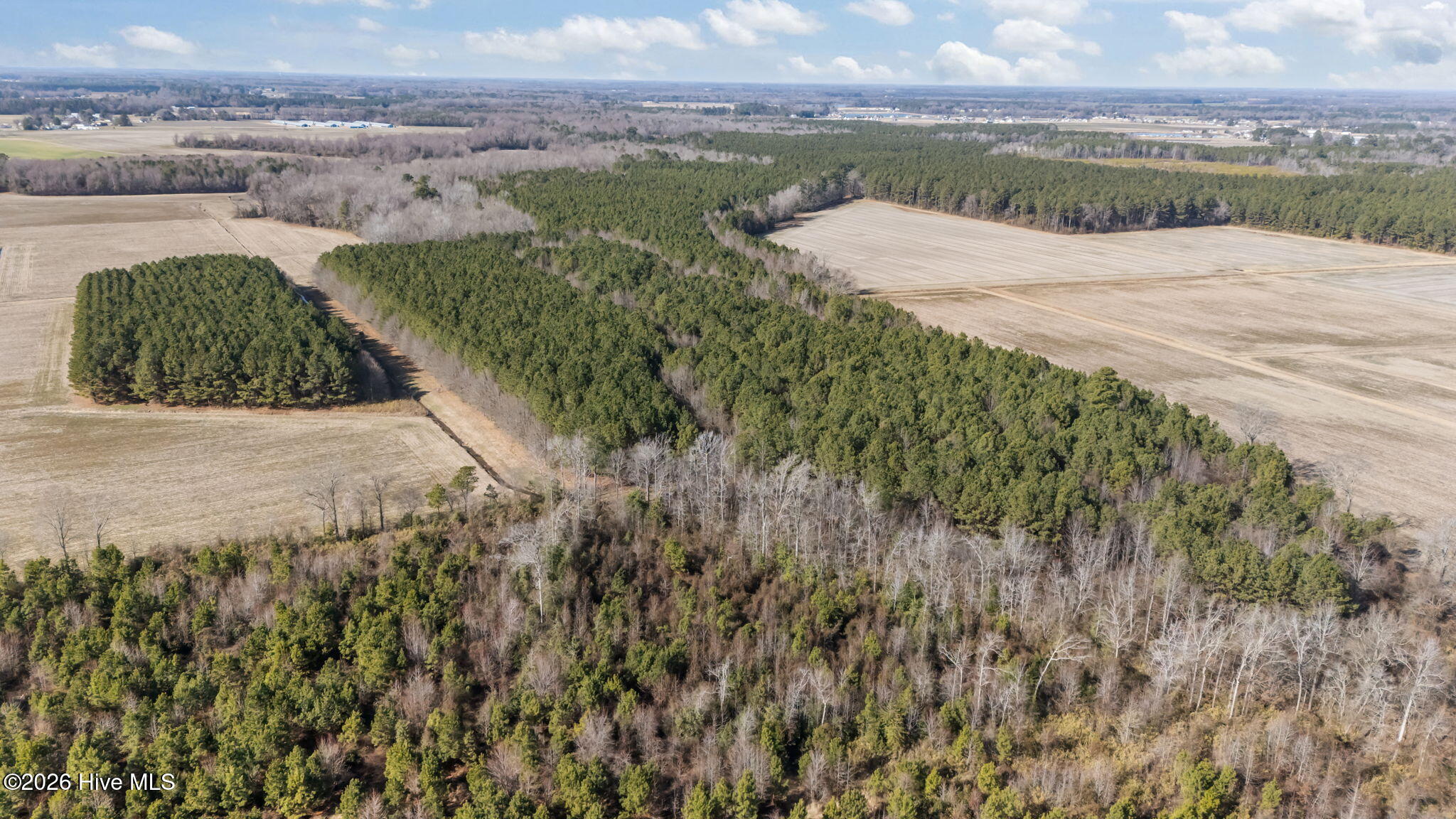 0 Grifton Hugo Road Grifton, NC 28530 - Photo 10 of 14 9-web-or-mls-DJI_20260121130605_0534_D