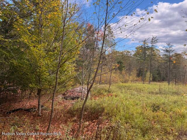 0 North Ridge Extension Windham, NY 12496 - Photo 7 of 23 IMG_0622