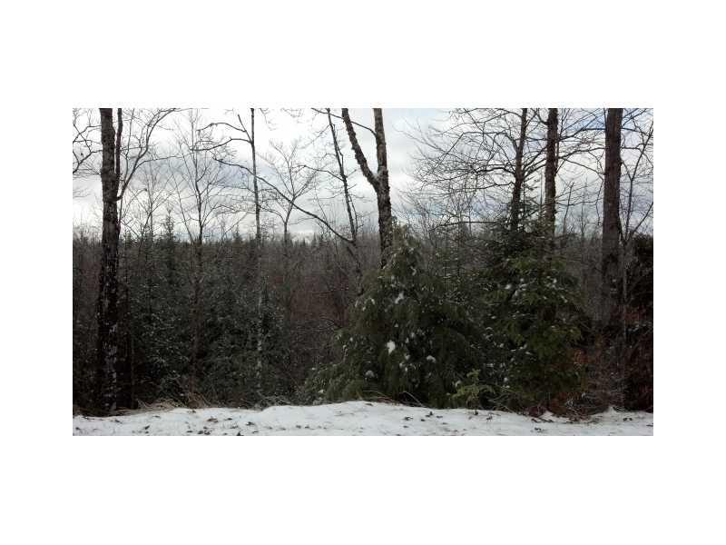 Lot 3 Davis Brook Acres Road Amity, ME 04471 - Photo 4 of 6 Land/Lot.