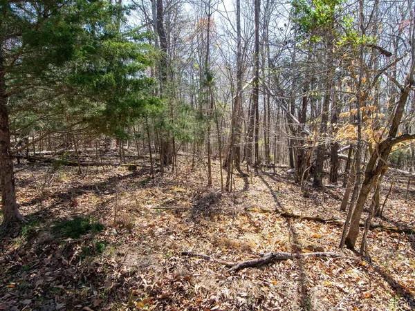 $28,987 | 9 Oak Drive, Moneta, VA 24121