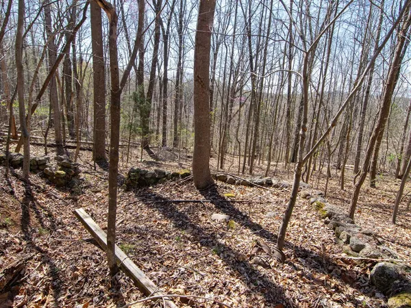 $28,987 | 9 Oak Drive, Moneta, VA 24121