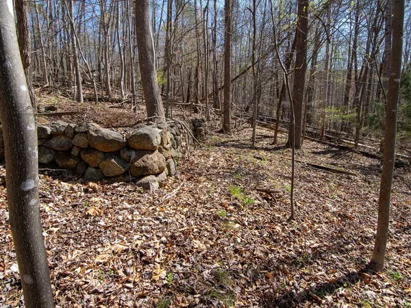 $28,987 | 9 Oak Drive, Moneta, VA 24121