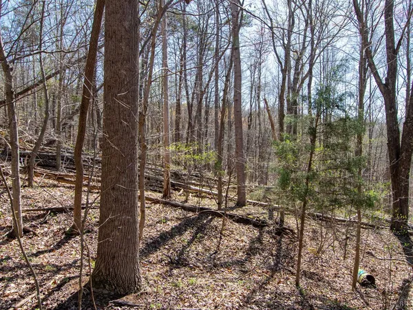 $28,987 | 9 Oak Drive, Moneta, VA 24121