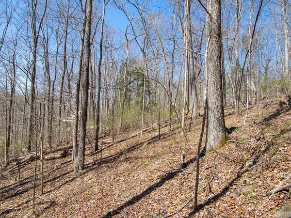 $28,987 | 9 Oak Drive, Moneta, VA 24121