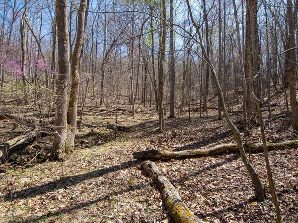 $28,987 | 9 Oak Drive, Moneta, VA 24121