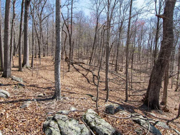 $28,987 | 9 Oak Drive, Moneta, VA 24121