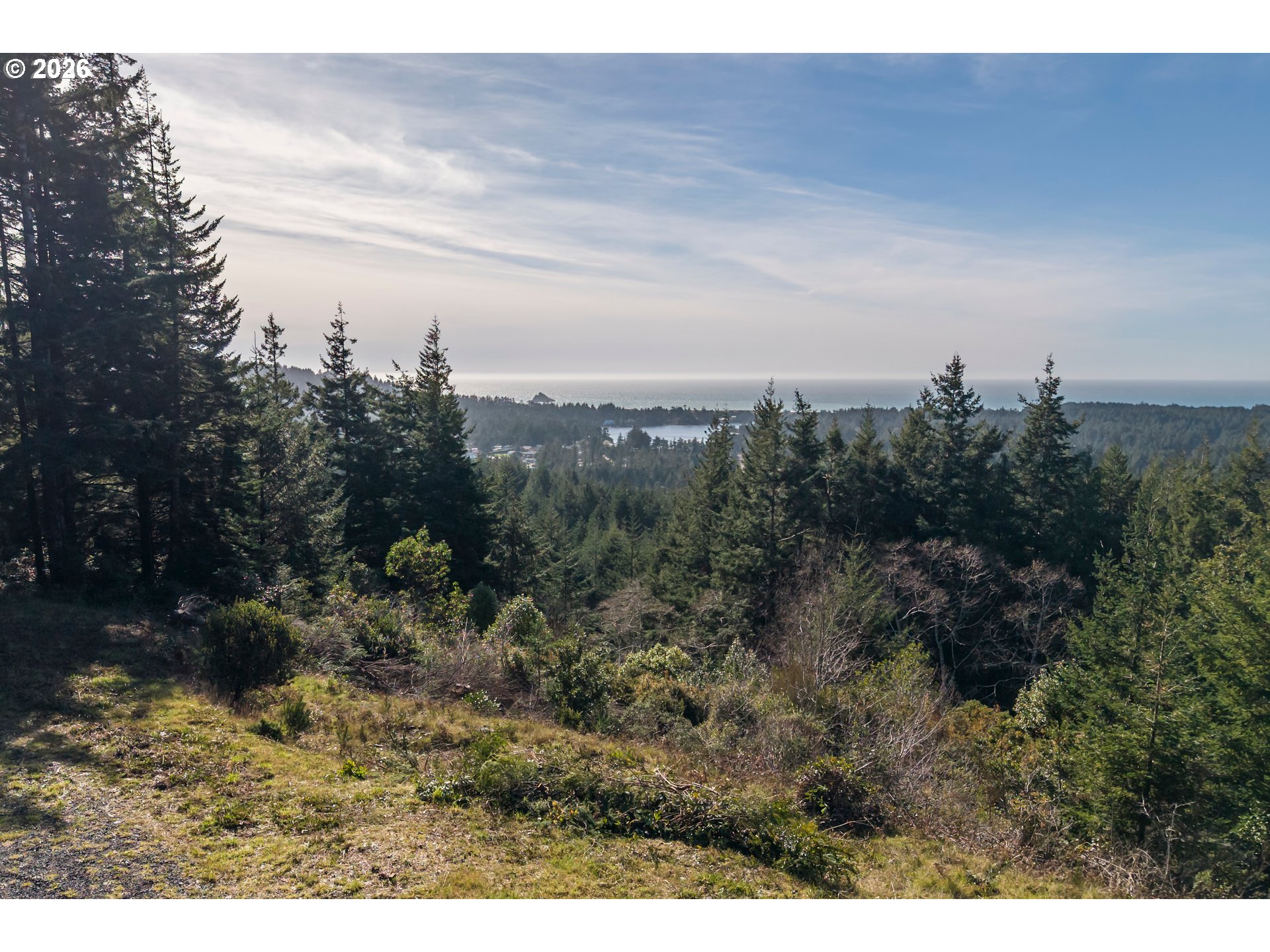 42365 Hensley Hill Road Port Orford, OR 97465 - Photo 3 of 47 a view of a city with lush green forest