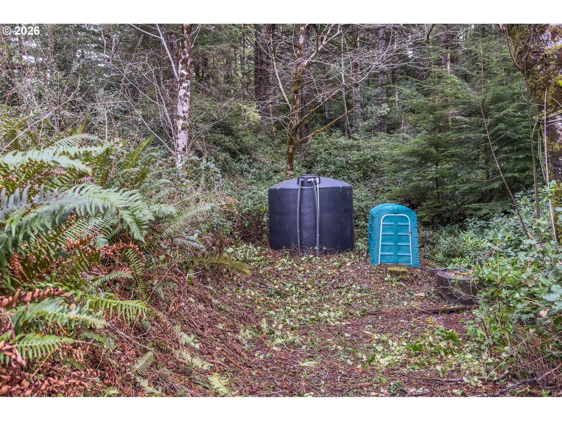 42365 Hensley Hill Road Port Orford, OR 97465 - Photo 41 of 47 a big yard with lots of green space