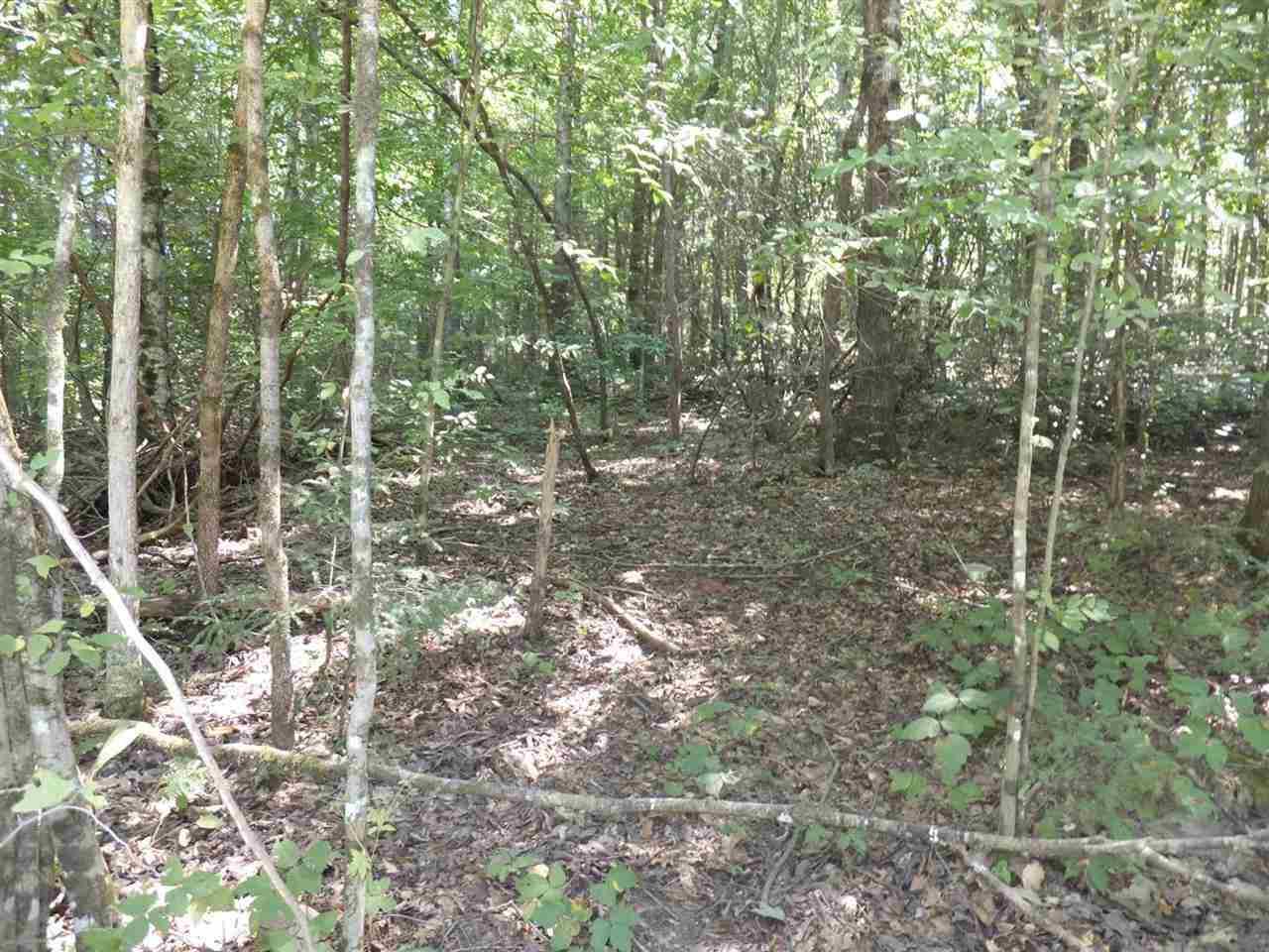 21 Deerfoot Road Cosby, TN 37722 - Photo 1 of 17 deerfoot lots (4)