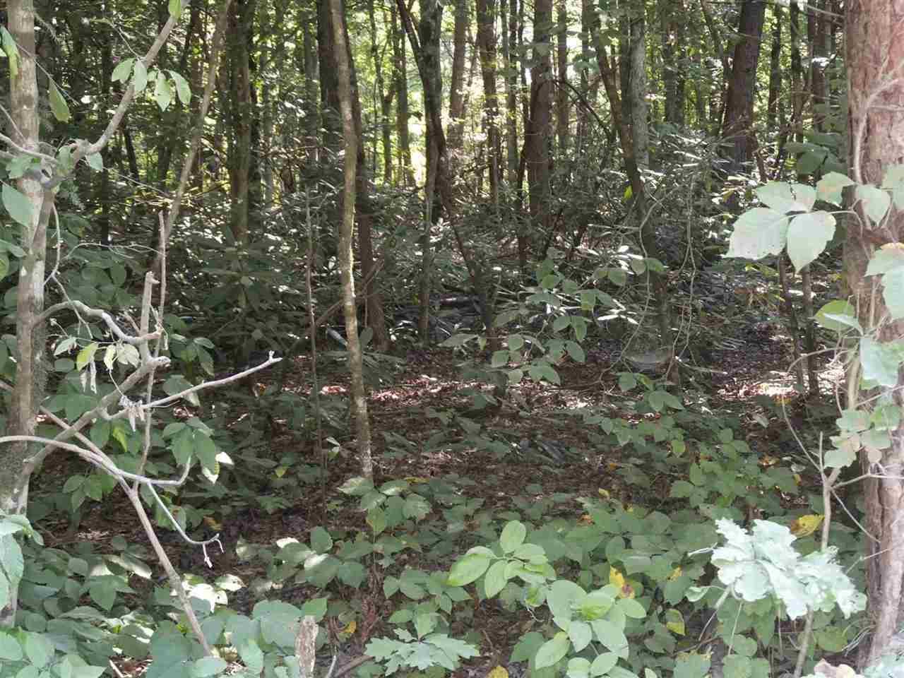 21 Deerfoot Road Cosby, TN 37722 - Photo 2 of 17 deerfoot lots (1)