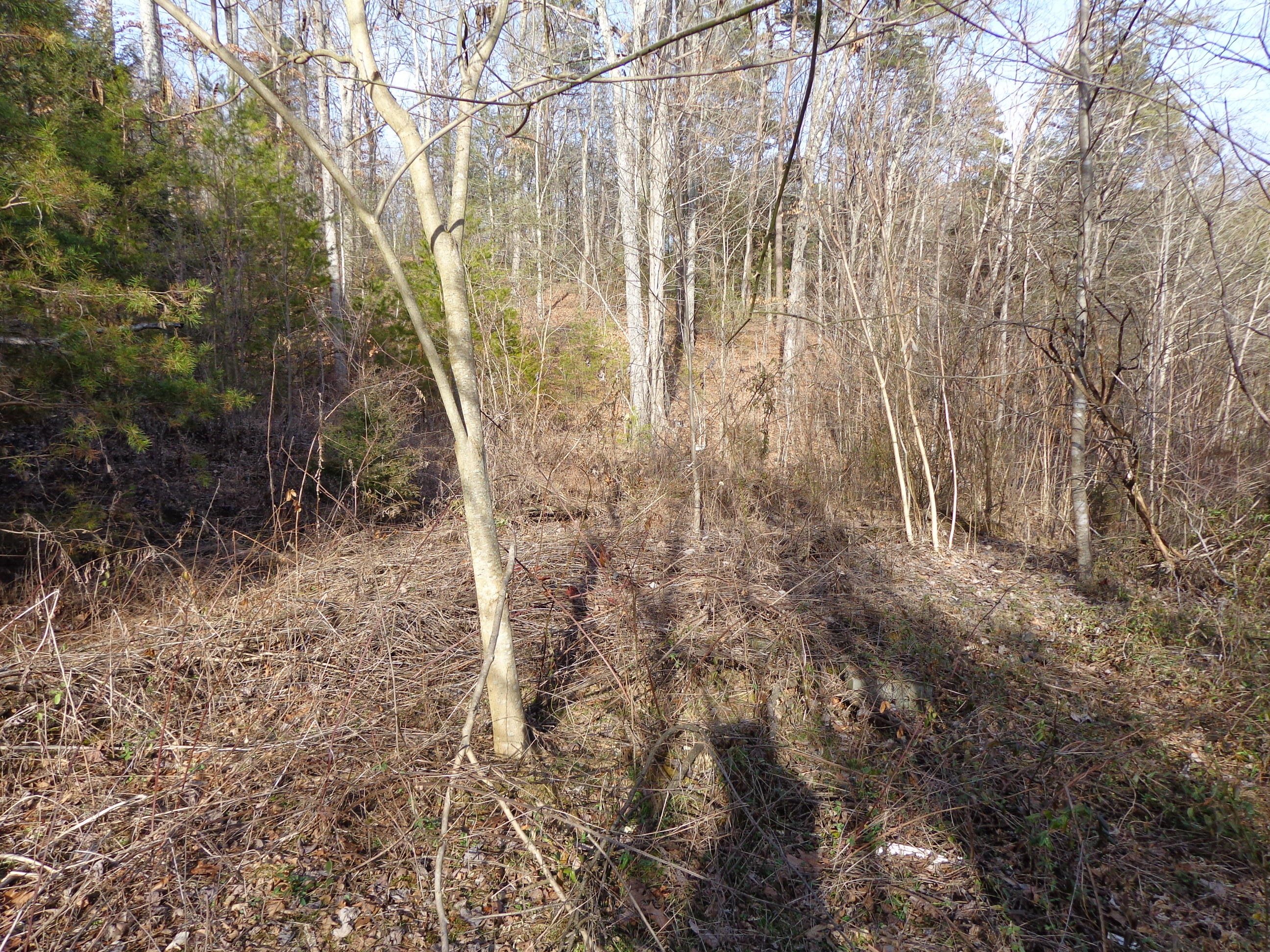 21 Deerfoot Road Cosby, TN 37722 - Photo 14 of 17 deer foot lots (13)