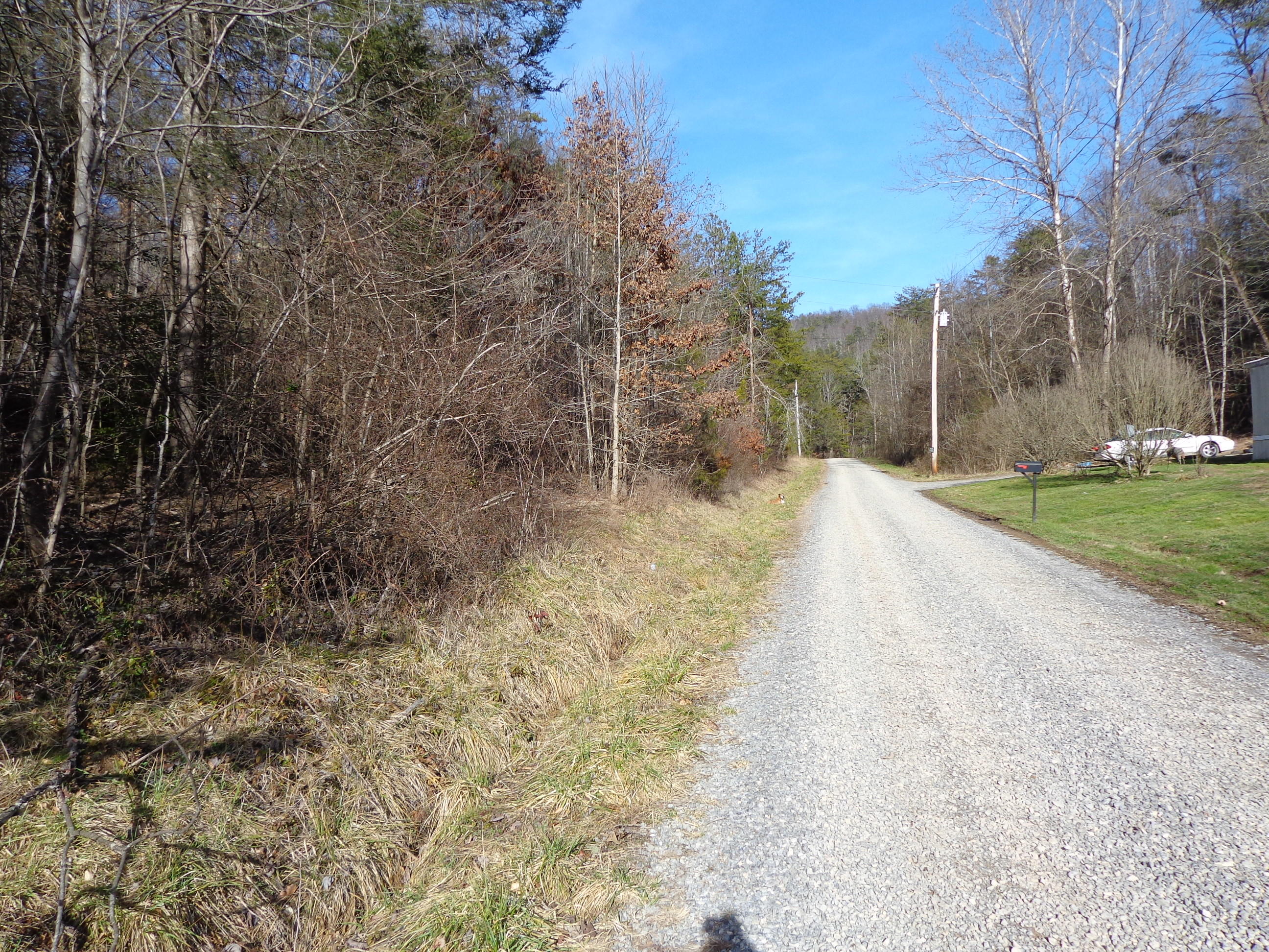 21 Deerfoot Road Cosby, TN 37722 - Photo 15 of 17 deer foot lots (8)