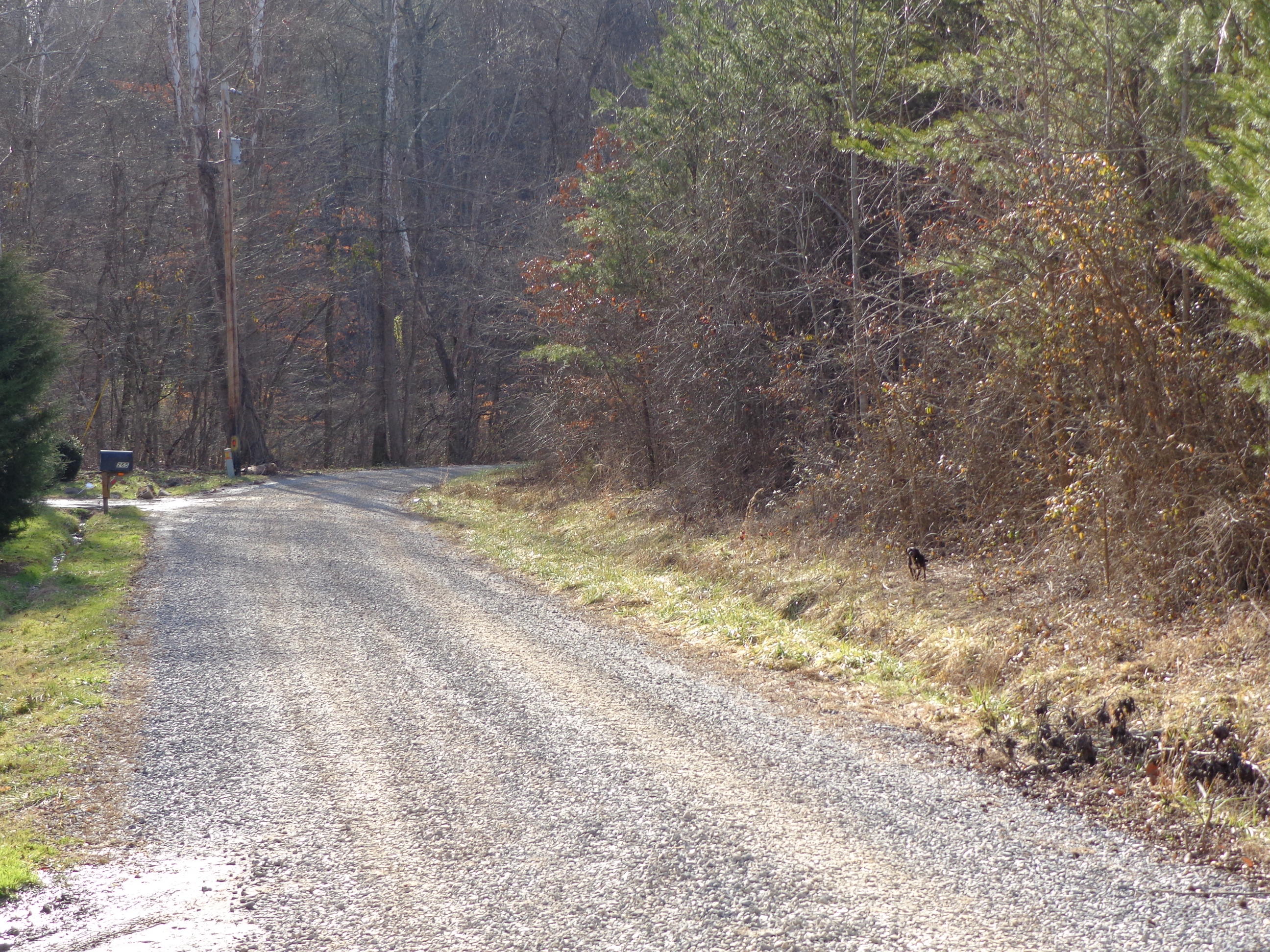 21 Deerfoot Road Cosby, TN 37722 - Photo 16 of 17 deer foot lots (9)