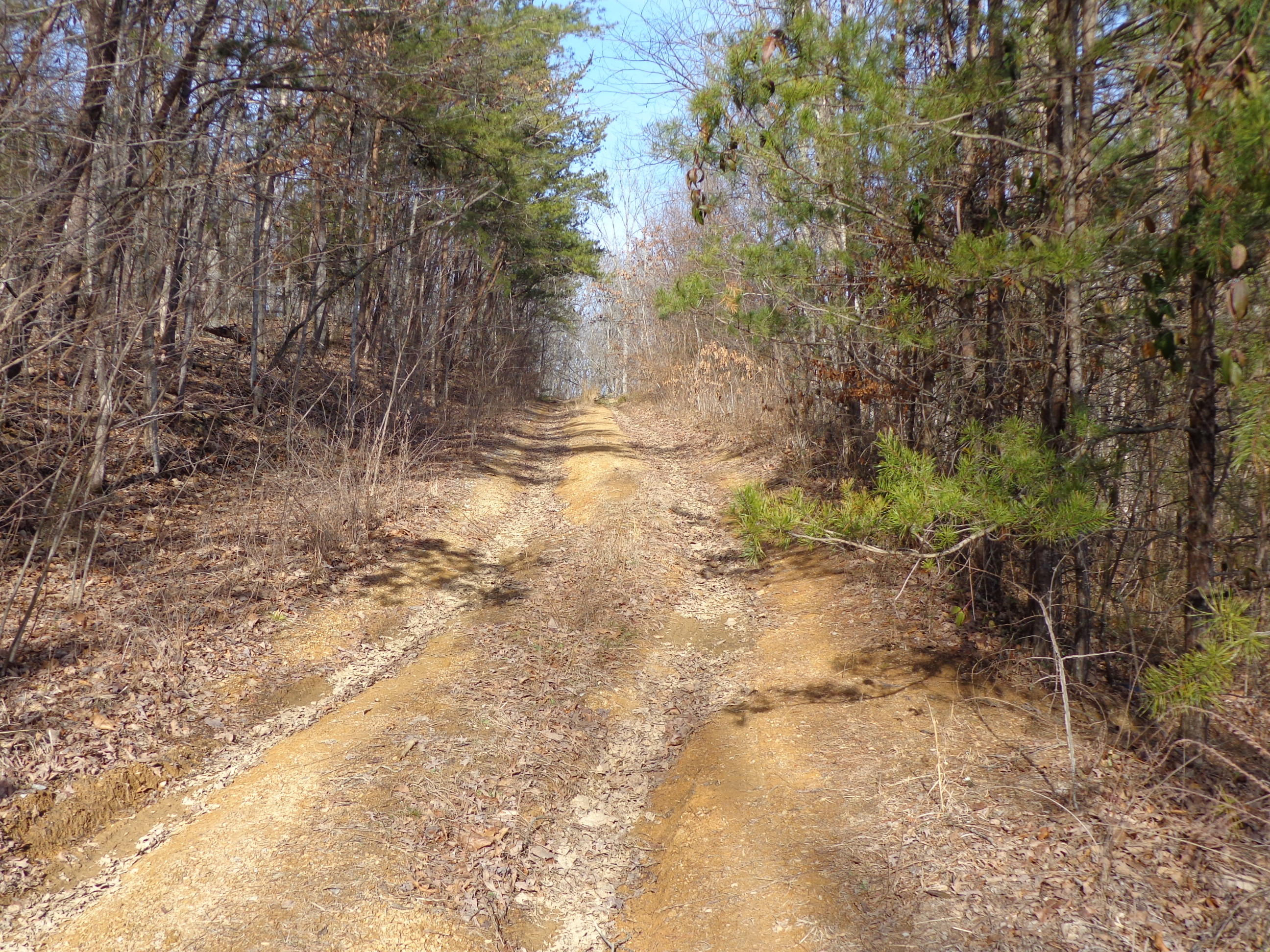 21 Deerfoot Road Cosby, TN 37722 - Photo 17 of 17 deer foot lots (19)