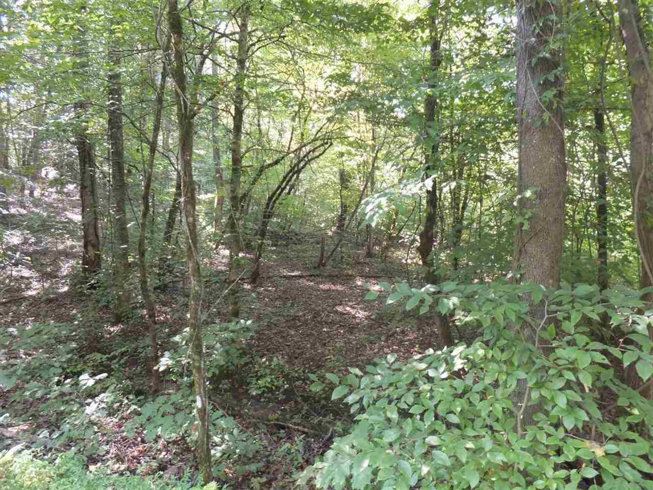 21 Deerfoot Road Cosby, TN 37722 - Photo 3 of 17 deerfoot lots (2)