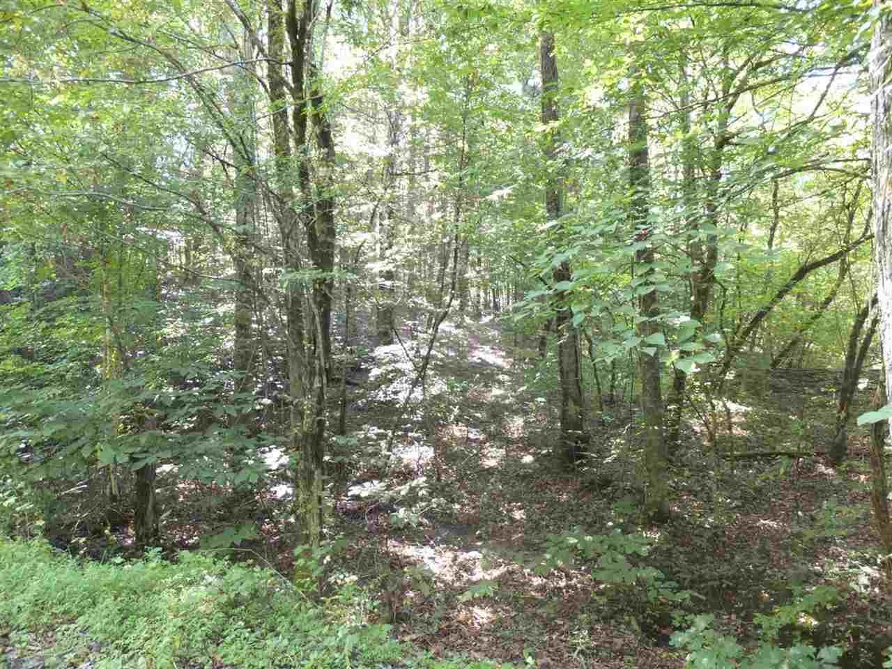 21 Deerfoot Road Cosby, TN 37722 - Photo 4 of 17 deerfoot lots (3)