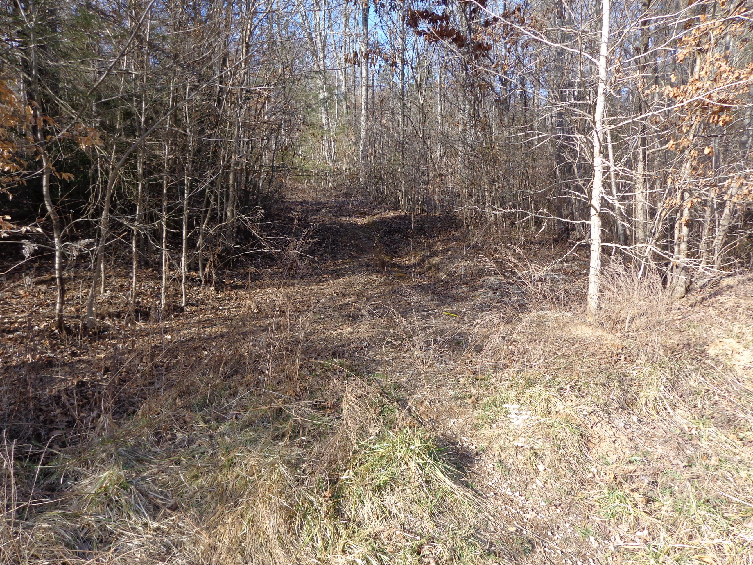 21 Deerfoot Road Cosby, TN 37722 - Photo 7 of 17 deer foot lots (10)