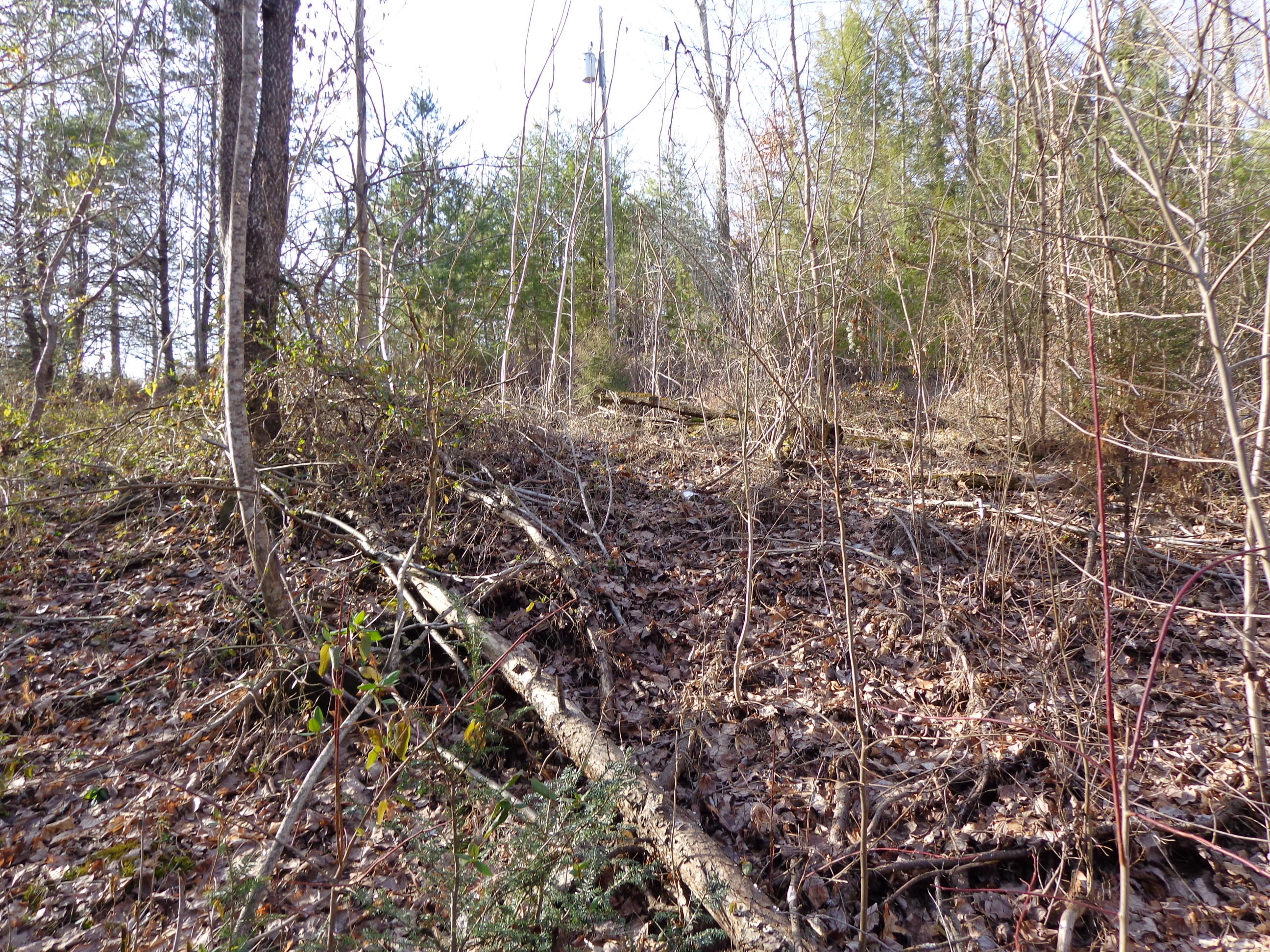 21 Deerfoot Road Cosby, TN 37722 - Photo 8 of 17 deer foot lots (11)