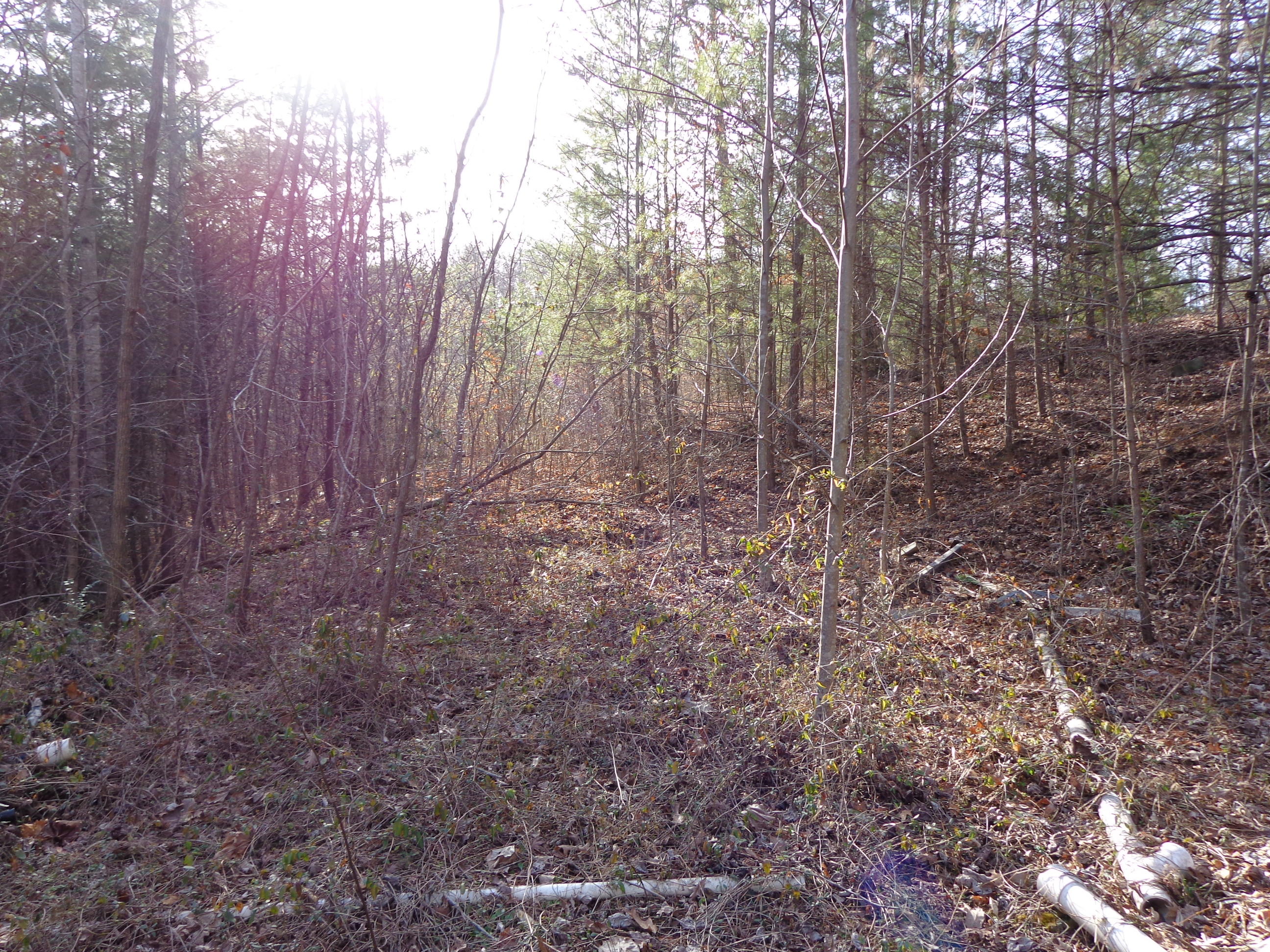 21 Deerfoot Road Cosby, TN 37722 - Photo 10 of 17 deer foot lots (14)