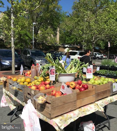 1606 Chimney House Road Reston, VA 20190 - Photo 35 of 47 Saturday Farmers' Market