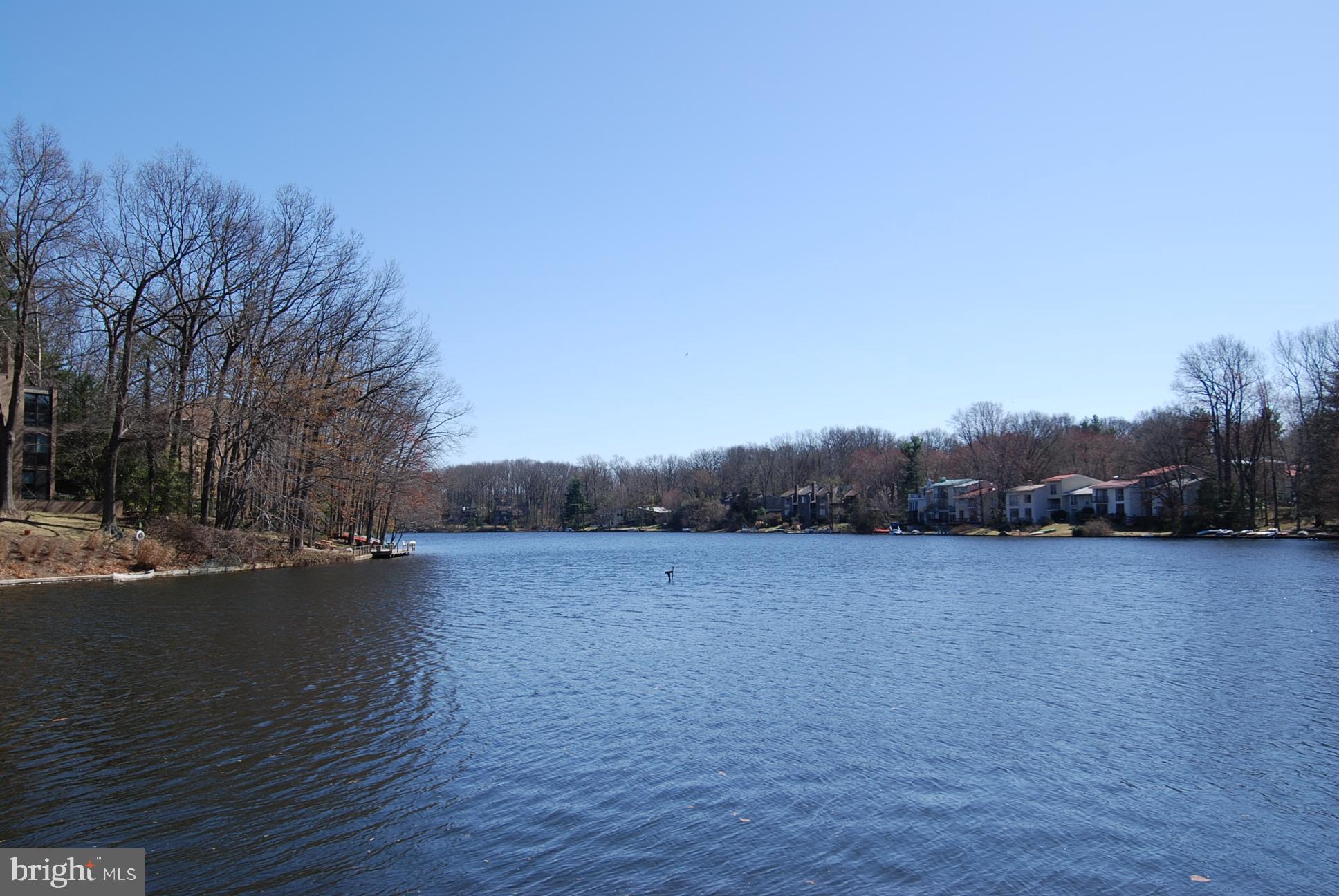 1606 Chimney House Road Reston, VA 20190 - Photo 40 of 47 Lake Anne