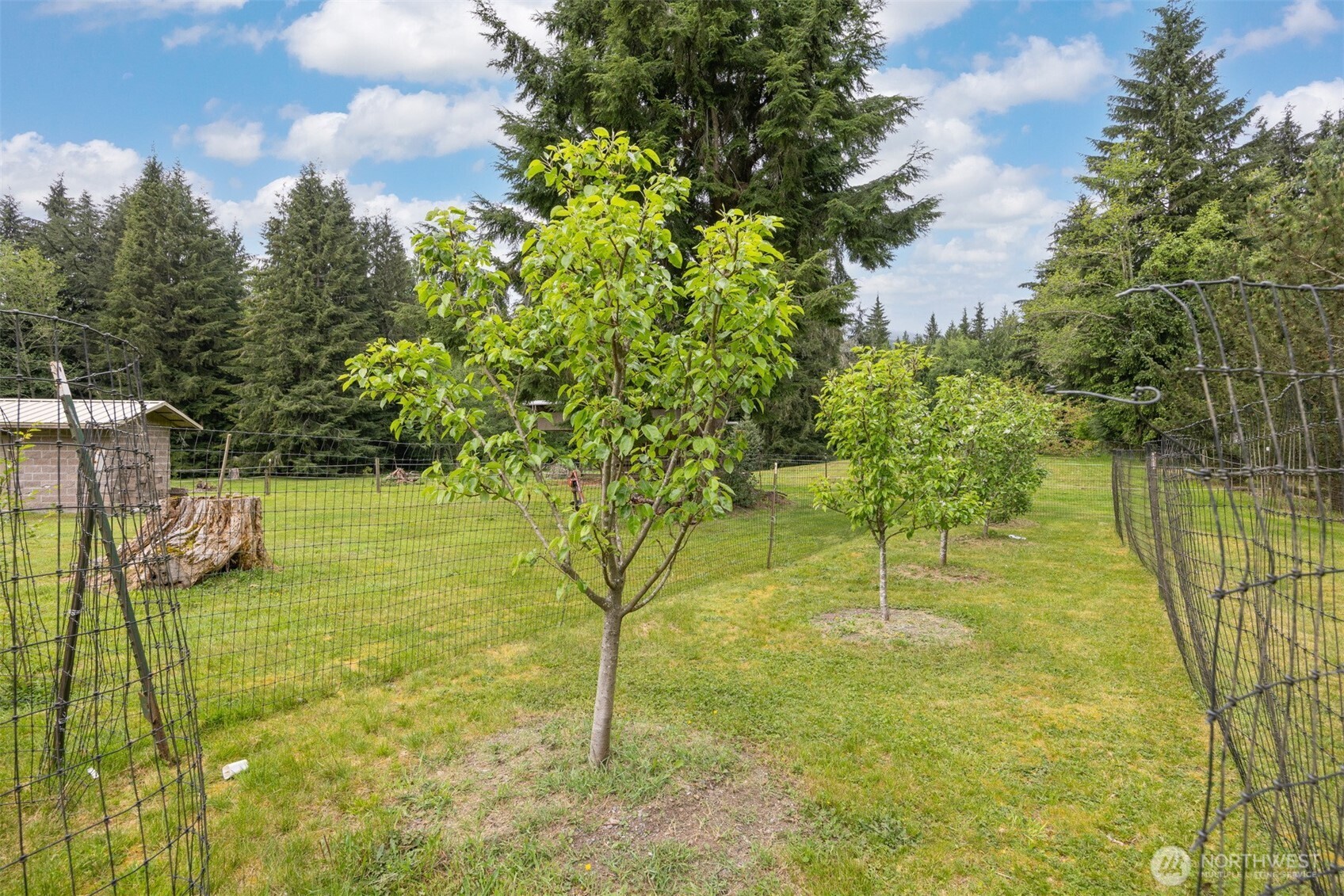 23098 Meadow View Lane Sedro-Woolley, WA 98284 - Photo 32 of 40