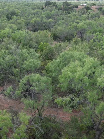 a view of a field of grass and trees