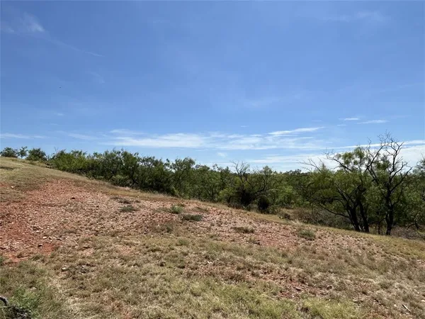 a view of a dry yard with trees